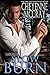 Slow Burn (Lawmen, #3)