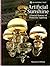 Artificial Sunshine: A Social History of Domestic Lighting