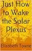 Just How to Wake the Solar Plexus
