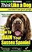 Sussex Spaniel Training | Think Like a Dog, But Don’t Eat Your Poop! |: Here's EXACTLY How To Train Your Sussex Spaniel