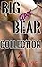 Big Gay Bear Collection 2
