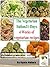->The Vegetarian Italian31-Days: 4 Weeks of vegetarian italian recipes: Vegetarian cooking for Every Day