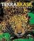 Terra Brasil (Portuguese Edition)
