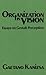 Organization in Vision: Essays on Gestalt Perception
