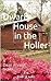 A Dwarf House in the Holler (A Dean Ahrens Novel Book 1)