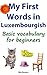 My First Words in Luxembourgish: Basic vocabulary for beginners (Learn Luxembourgish Book 1)