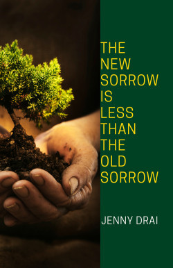The New Sorrow Is Less Than the Old Sorrow (Paperback)