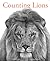 Counting Lions by Katie Cotton