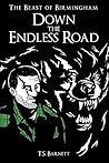 Down the Endless Road (The Beast of Birmingham #3)