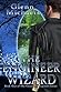 The Engineer Wizard by Glenn Michaels