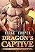 Dragon's Captive by Jane Rowe