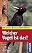 Welcher Vogel ist das? by Volker Dierschke