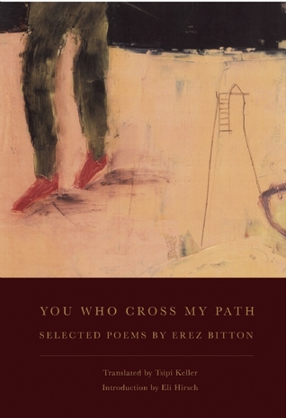 You Who Cross My Path (Paperback)