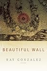 Beautiful Wall (American Poets Continuum)