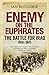 Enemy on the Euphrates: The Battle for Iraq, 1914-1921