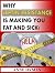 Why Leptin Resistance Is Ma...