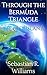 The Lost Island (Through the Bermuda Triangle Book 1)