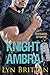 The Knight of Ambra (Mercen...