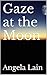 Gaze at the Moon