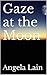 Gaze at the Moon