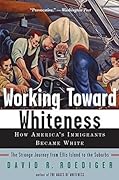 Working Toward Whiteness: How America's Immigrants Became White: the Strange Journey from Ellis Island to the Suburbs