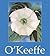O'Keeffe (German Edition)