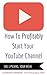 HOW TO PROFITABLY START YOUR YOUTUBE CHANNEL - VOL 1 PICKING YOUR NICHE