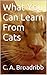 What You Can Learn From Cats by C.A. Broadribb