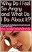 Why Do I Feel So Angry and What Do I Do About It?: The physical, psychological and spiritual guide to deal with anger