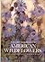 The Odyssey Book of American Wildflowers