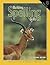 Building Spelling Skills Book 6