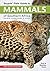 Stuarts' Field Guide to Mammals of Southern Africa by Chris Stuart