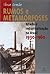Rumos e metamorfoses: um estudo sobre a constituição do Estado e as alternativas da industrialização no Brasil 1930-1960