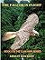 The Falcon in Flight by Ernest Edwards