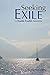 Seeking Exile (Double Trouble Adventures Book 1)