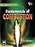 Fundamentals of Combustion
