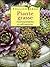 Piante grasse: riconoscimento e coltivazione