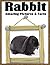 Rabbits: Amazing Pictures a...