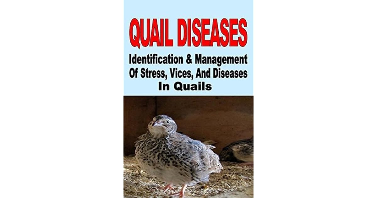 Quail Diseases Identification And Management Of Stress Vices And Diseases In Quails By Francis Okumu