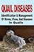 Quail Diseases: Identification And Management Of Stress, Vices, And Diseases In Quails