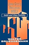 Book cover for Using God's Resources Wisely: Isaiah and Urban Possibility