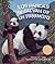 Los pandas se salvan de un terremoto (Spanish Edition)