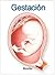 Miniatlas Gestación (Spanish Edition)
