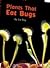 Plants That Eat Bugs
