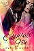 Corporate Fire (Corporate Romance Book 1)