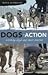 Dogs in Action: Working Dogs and Their Stories