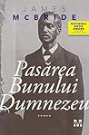Pasărea Bunului Dumnezeu by James   McBride