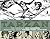 Tarzan: The Complete Russ M...
