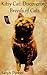 Kitsy Cat: Discovering Breeds of Cats