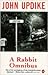 Rabbit Omnibus: Rabbit Run ...